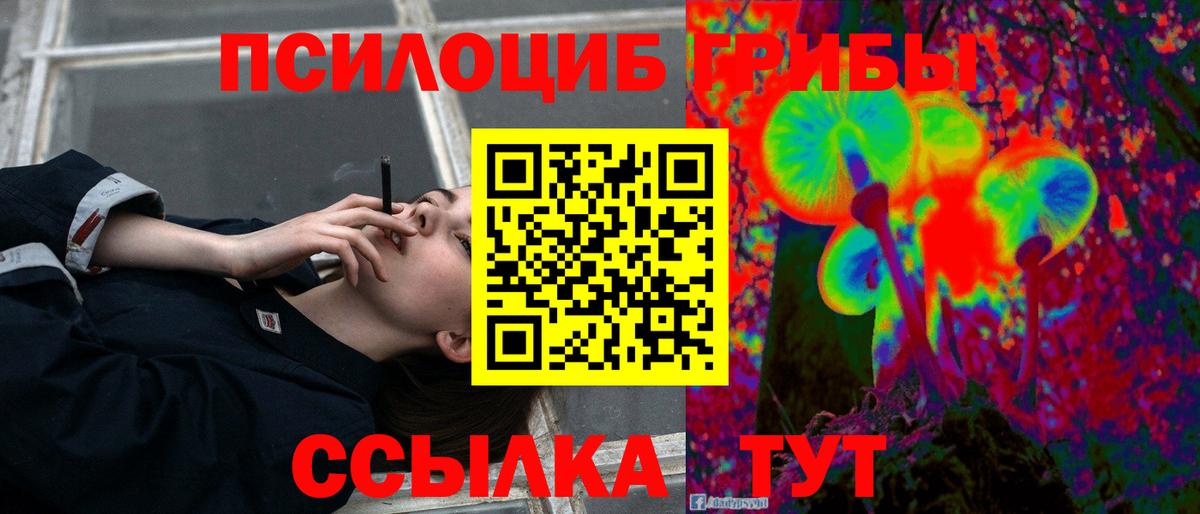 Набережные Челны  Галлюциногенные грибы MAGIC MUSHROOMS  Вход с VPN  Псилоцибиновые грибы мицелий 